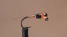 Video thumb for Jig Napoleon