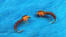 Video thumb for Cove's Pheasant Tail