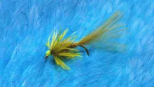 Video thumb for Emu Damsel Nymph