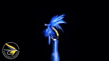 Video thumb for Remnant Fly #38  - Brassie