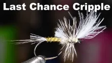 Video thumb for Last Chance Cripple