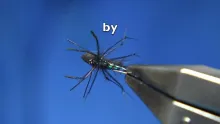 Video thumb for Black Water Spider