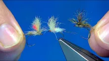 Video thumb for Dynamite Harry