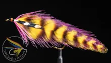 Video thumb for Jungle Queen