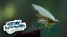 Video thumb for LCB Danica