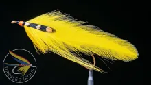 Video thumb for Tying the Canary
