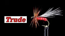 Video thumb for Trude
