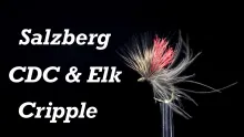 Video thumb for CDC & Elk Cripple