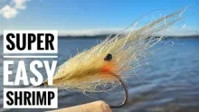 Video thumb for Super Easy Shrimp