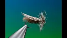 Video thumb for Slow Water Caddis