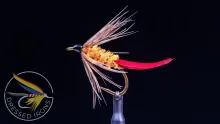 Video thumb for Grouse Spider
