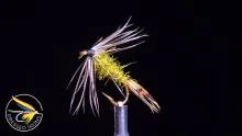 Video thumb for Remnant Fly #39 - Olive Nymph