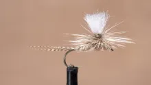Video thumb for Light Cahill Parachute