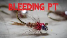 Video thumb for Bleeding PT