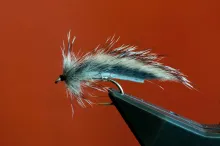 Squirrel Zonker