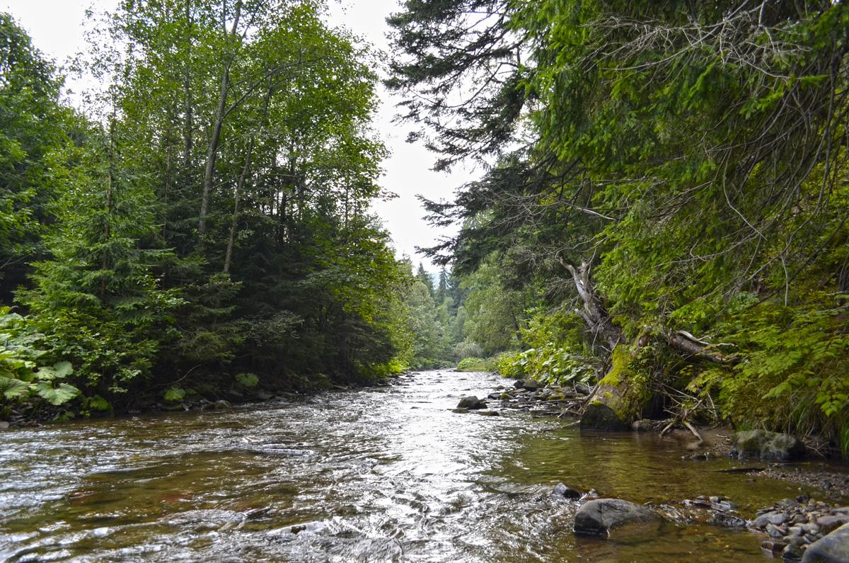 The upper end of hopper valley Global FlyFisher