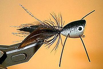Bass Fishing As The Picture Shows Cm Popper Dry Fly Fly Fishing Popper Flies