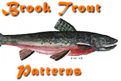 Brook trout, Global FlyFisher