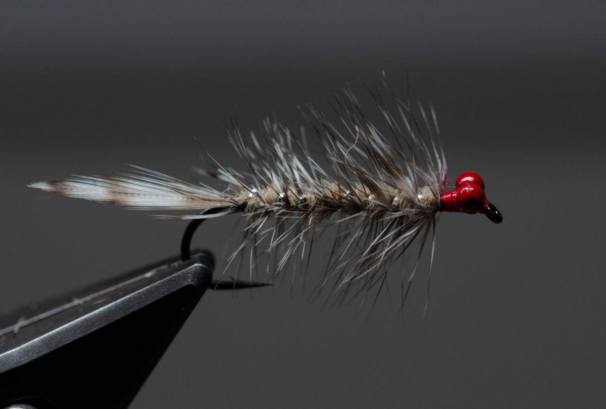 Flyfisher's Delight in Norge - International Flyfishers Club