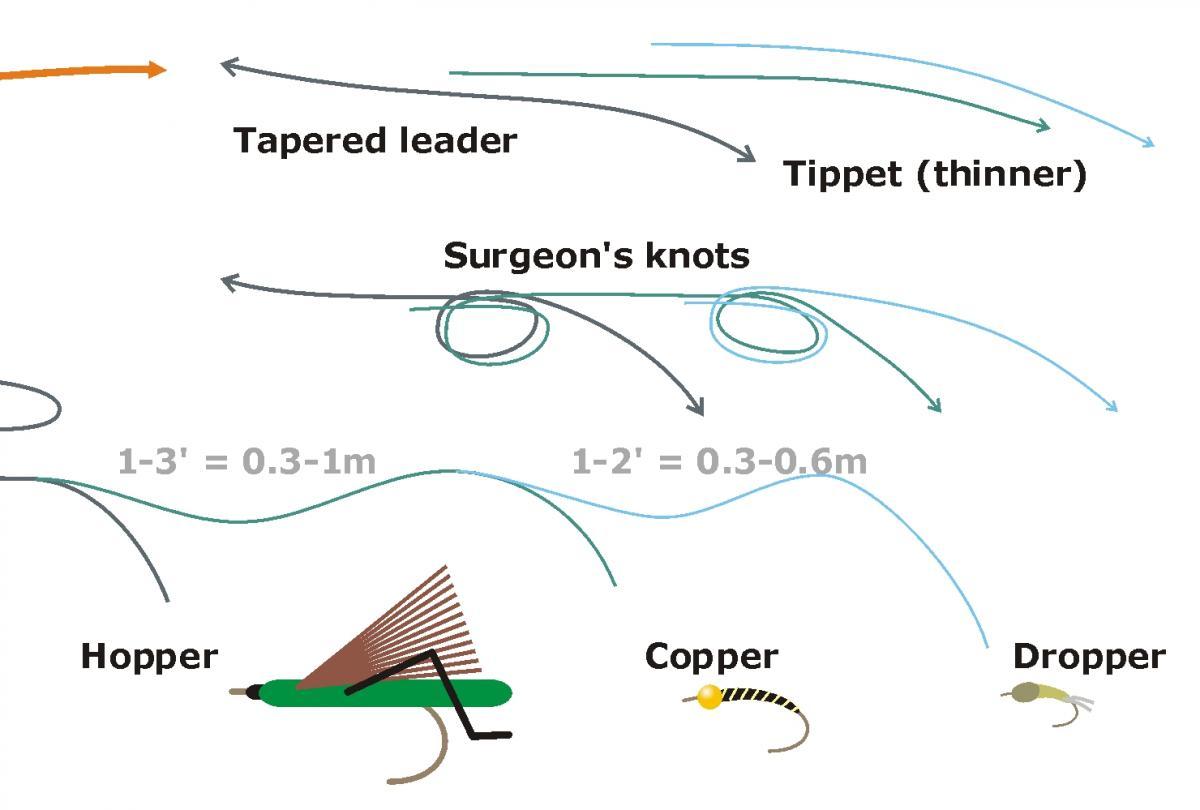 The Two Fly Setup  The Fly Fishing Basics