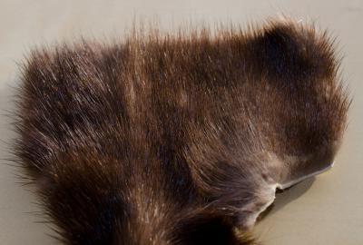 LOT of tanned OTTER scrap pieces fur pelt skin FLY TYING smaller native craft 