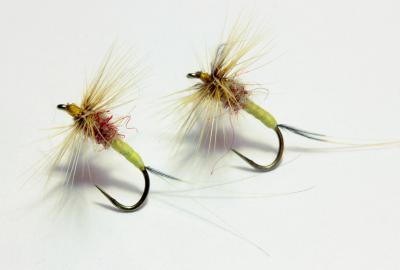 globalflyfisher.com