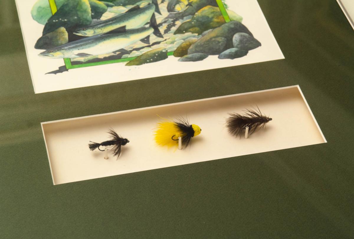 Vintage Fly Fishing Print - Trout Flies Framed Canvas by SFT Design Studio