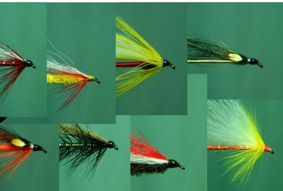 Pacific Northwest Streamer Conversions, Global FlyFisher