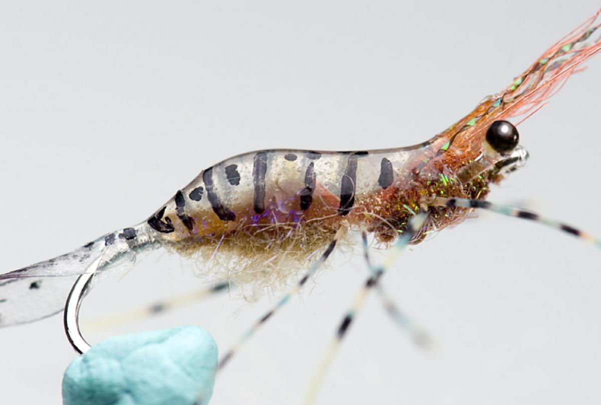 grass shrimp fly pattern