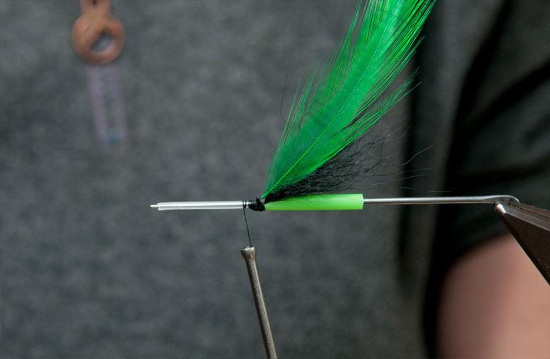 Step 7 tie in hackle Global FlyFisher