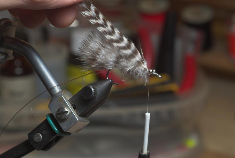 Step 16 tie in hackle Global FlyFisher