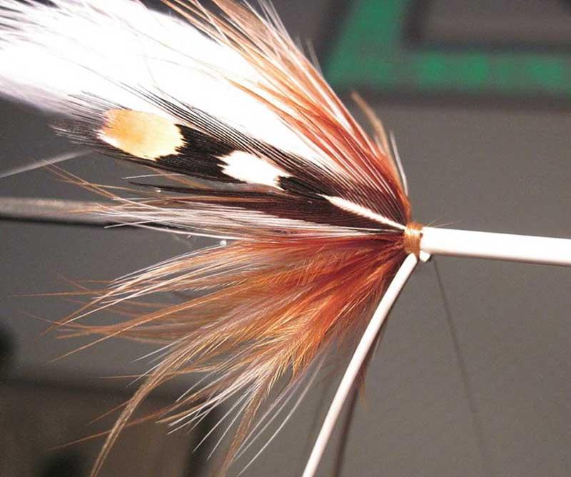 Step 5 - bend back | Global FlyFisher