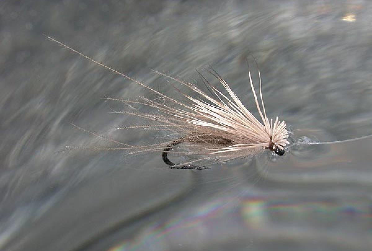 CDC FEATHER COLOR ; { LIGHT DUN }  .5 GRAM 
