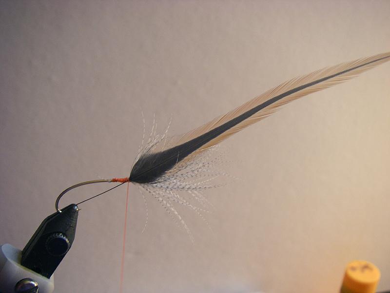 Step 6 tie in second hackle Global FlyFisher