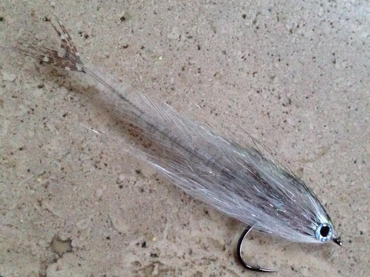 Dead minnow\