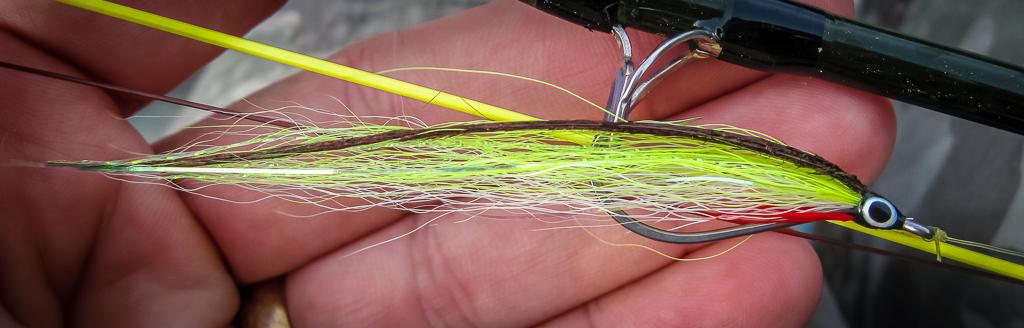 Bendback | Global FlyFisher