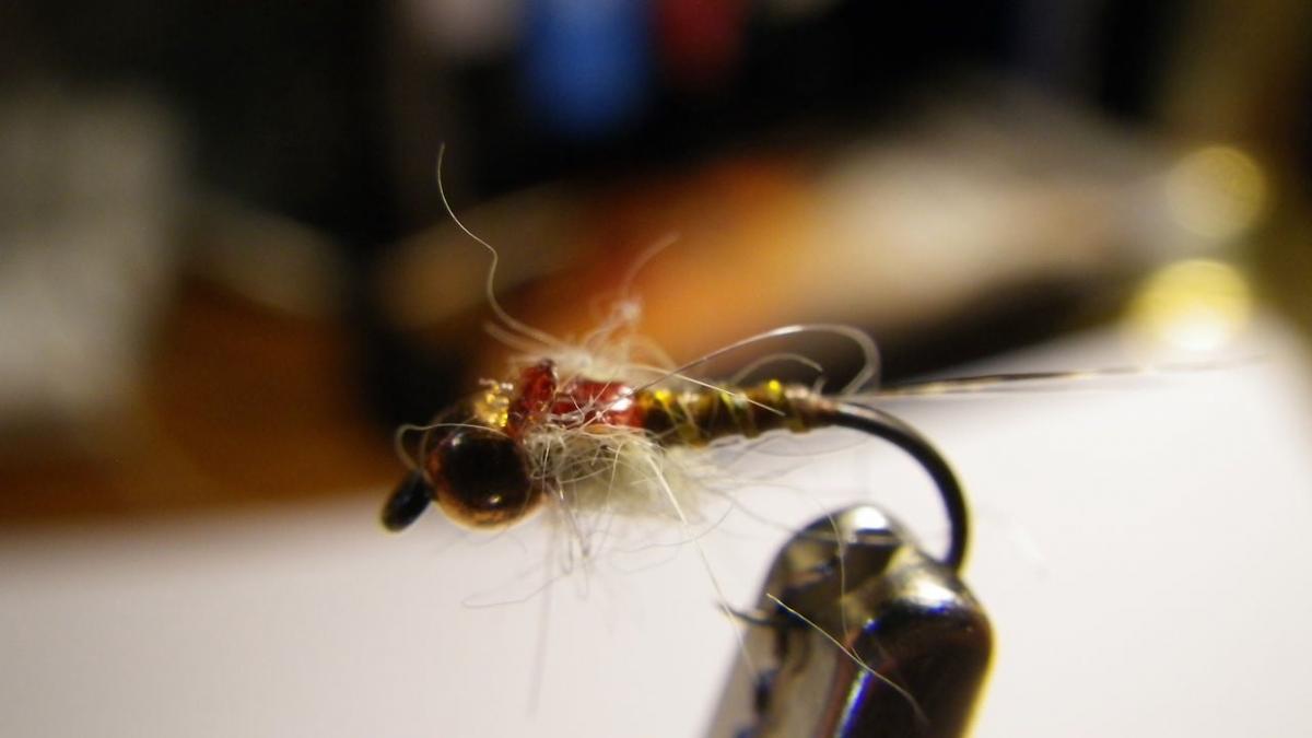 PMD Nymph Global FlyFisher