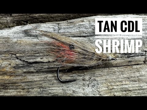 Tan CDL Shrimp  Global FlyFisher