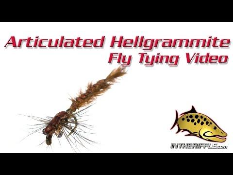 Hellgrammite, Flies, nymphs