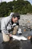 User submitted picture: Nice 12 lb steelhead fres...