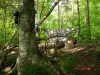 User submitted picture: Memorial Day Weekend 4 da...