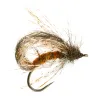 Brown Sedgeetle