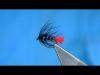 Nymphs serie trailer Nymphs serie trailer