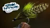Video thumb for Key Lime Cockroach