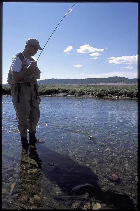 Landing - After a few fish you get a more relaxed relation to landing the fish, and only go for the net when they are more weighty and threaten to break the leader.