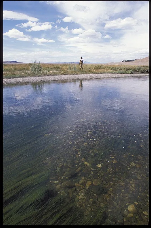 Spot the fish! - Yes, there is a fish over the gravel right in front of the photographer. You tend to overlook the fish really close, and often spook fish right near you because you cast to a riser close to the opposite bank.