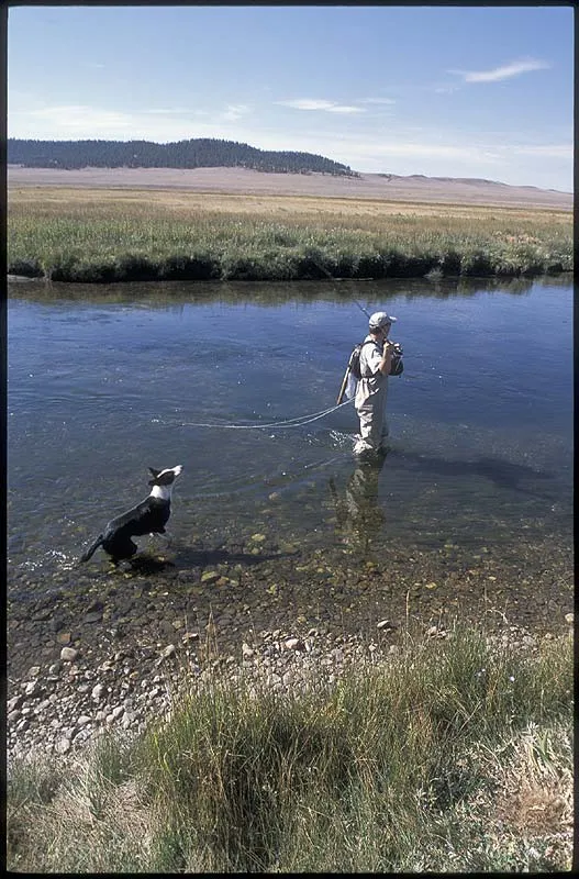Steve and Brookie - Steve's dog Brookie would always go for the flies in the back cast.