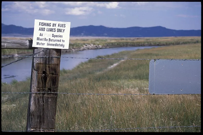 Dream Stream sign -