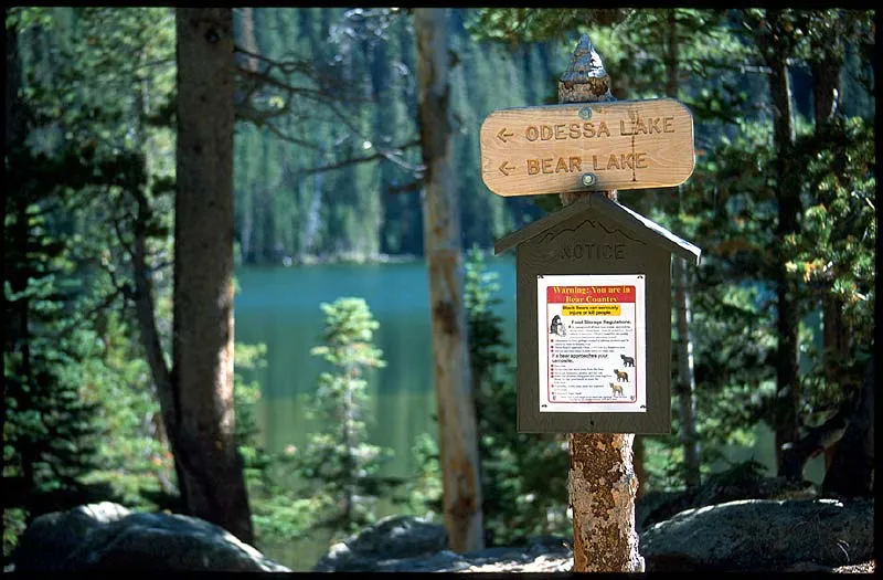 Fight back! - The last item on the list of good advice when navigating in bear country was: If attacked, fight back!