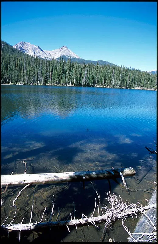 The lake - The lake we fished for greenback was beautiful and calm, with clear water and a georgeous backdrop. Fish were constantly moving and rising along the bank and further out in the lake.